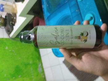 Product Review of Sabun Shampo 2 in 1 Salvia Coconut Oil 100% | Sabun Organik Cair Sabun Anak Autis Sabun Non Alergen from y**따 0