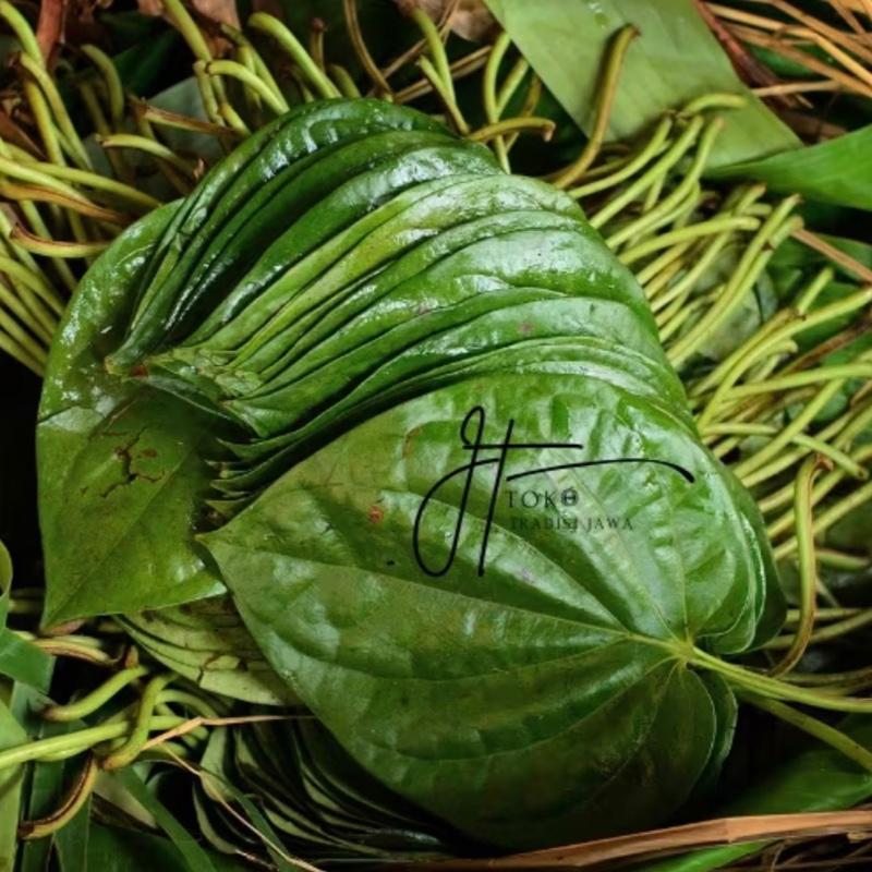 Daun Suruh atau Sirih Hijau Wanita 20 Lembar Berkualitas Tinggi untuk Kesehatan Mulut