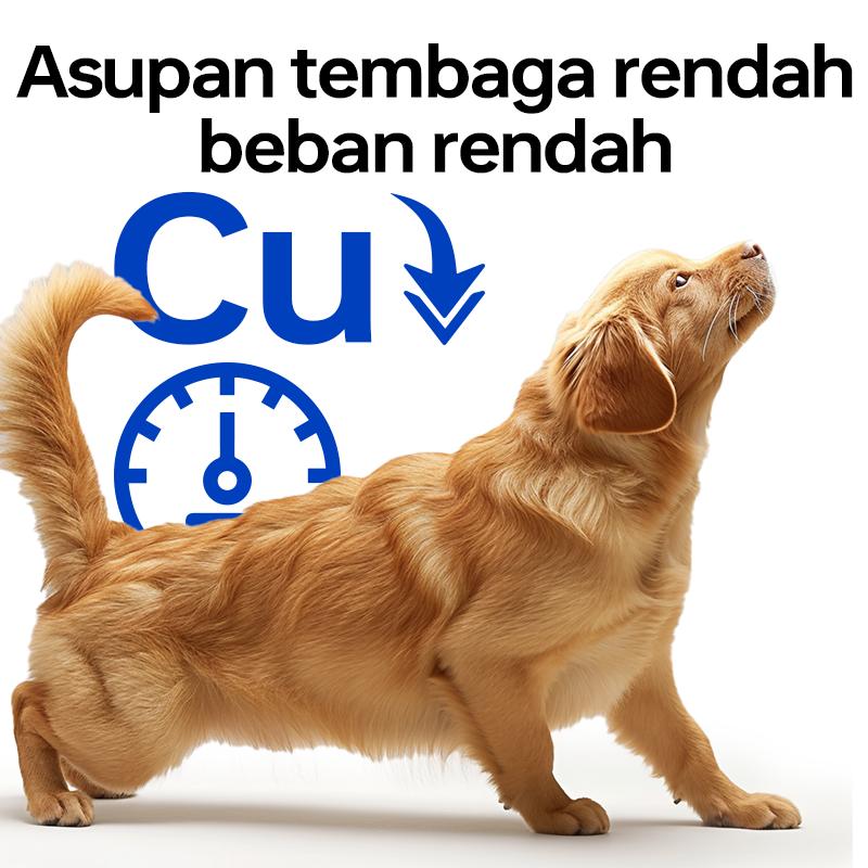 Ramical Liver Care 6×50gr (300gr) – Dryfood Hepatic Care untuk Anjing Dewasa & Senior Ramical Liver Care 6×50gr (300gr) – Dryfood Hepatic Care untuk Anjing Dewasa & Senior