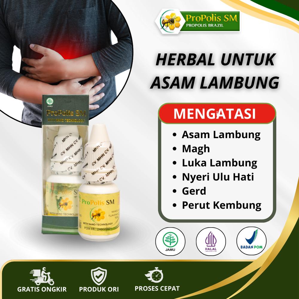 Propolis SM Untuk Asam Lambung, Gerd, Magh, Nyeri Ulu Hati, Luka Lambung, vitamin detox  Lambung, obat penguat otot lambung Isi 6 ML BPOM HALAL MUI