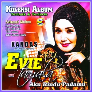 Kaset MP3 Audio Musik 150 Lagu Dangdut EVIE TAMALA Album Pilihan Terlengkap