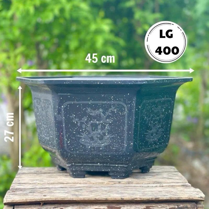    live   5 Chậu Nhựa Trồng Cây Lục Giác Mai 400   45x 27   