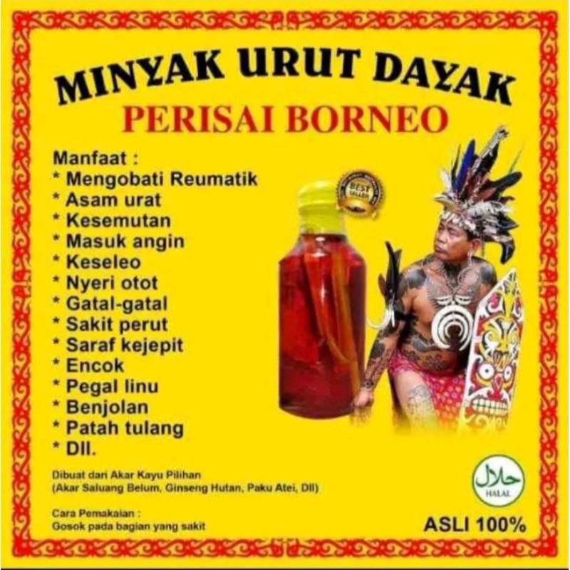 Minyak Pijat Tubuh Minyak Urut Dayak Kalimantan isi 150ml 2