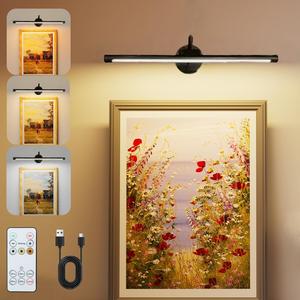Luz de pared recargable por USB, luz de cuadro regulable con control remoto, iluminación decorativa para pintura en pared, arte de galería, pintura, retrato