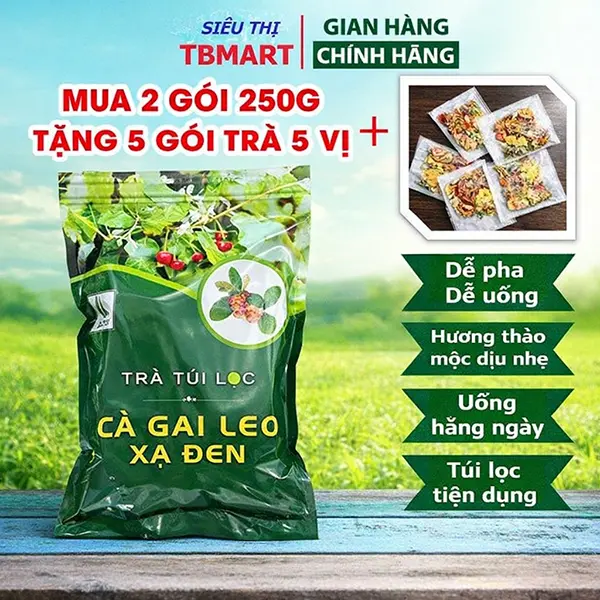 Trà Cà Gai Leo Xạ Đen Túi Lọc SADU – Trà Thảo Mộc Thanh Mát, Tiện Lợi, Dễ Pha Dễ Uống | Mua Combo 2–4 Gói Tặng Trà Dưỡng Nhan Ngũ Vị