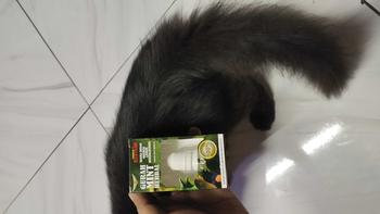 Product Review of Gurah mint serak volume penggacor burung berkicauVitamin suplemen burung berkicau from C**🦀 0