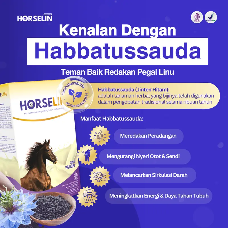 Susu Kuda untuk Pegal Linu Tulang Sendi Saraf HORSELIN Susu Kuda Liar Sumbawa Asli (200gr) 4