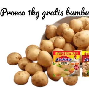 kentang rendang fresh 1kg gratis bumbu penyedap terlaris