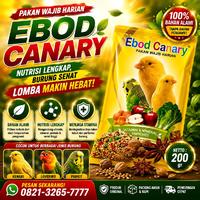 Gambar Makanan Burung EBOD CANARY Harian Wajib Burung Kenari Vitamin Lengkap dari Seputar Burung Indonesia Kab. Sukoharjo 5 Tokopedia