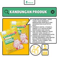 Gambar Holycatlabs Royal Cats Collagen+ Tinggi Nutrisi Untuk Kulit dan Bulu Anabul Isi 7 Kapsul dari Holycatlabs Official Shop Kota Bandung 4 Tokopedia