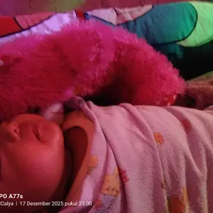 boneka teddy bear LED tinggi 35cm