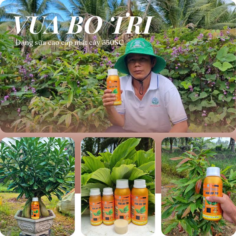 VUABO TR! | Chế Phẩm NOFARA 350SC Dạng Sữa SC Có Tác Dụng Mát Cây Giúp Cây Trồng Khỏe Mạnh Xanh Dày Lá Hỗ Trợ Hiệu Quả Phân Bón Cho Cây Trồng