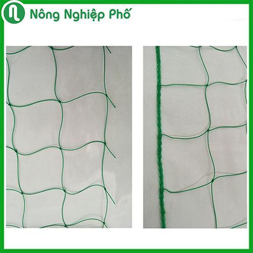Lưới làm giàn leo màu xanh lá mắt lưới 10x10cm - Loại khổ lưới đa dạng 2