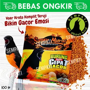 Voer Super Murai Sempati Jangkrik Kroto Sari Pakan Burung Murai Batu
