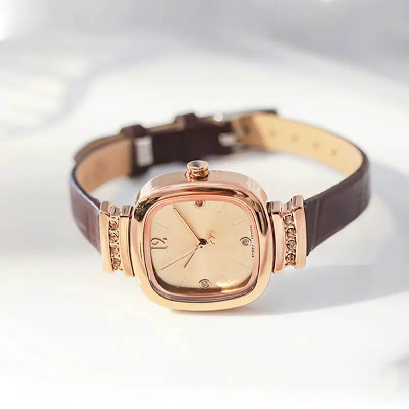 Retro Small Square Sugar Watch Women Light Luxury Niche 2025 New Simple Temperament Quartz Watch - Brown