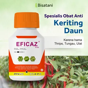 Eficaz Spesialis Obat Anti Keriting Daun Oleh Hama Thrips Tungau Ampuh