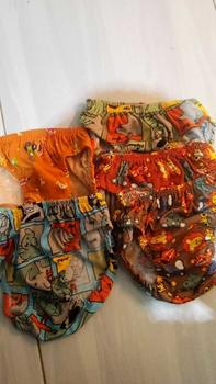 Product Review of 12 Pcs Celana Dalam Anak Laki-Laki dan Perempuan 1-6 tahun Motif dan Warna Lucu from t**u a**2 0