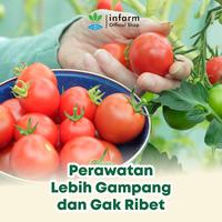 Gambar INFARM - Pupuk AB Mix Hidroponik Besar Tomat 1000  Liter Unsur Makro Mikro Tanaman Sehat Tumbuh Subur Mudah Tumbuh Buah AB Mix Powder Hydroponic Infarm Premium Kualitas Tinggi Nutrisi Buah Tomat Pelebat Buah Tomat  Anti Rontok Daun Buah Bunga Anti Hama dari Infarm Kota Surabaya 4 Tokopedia