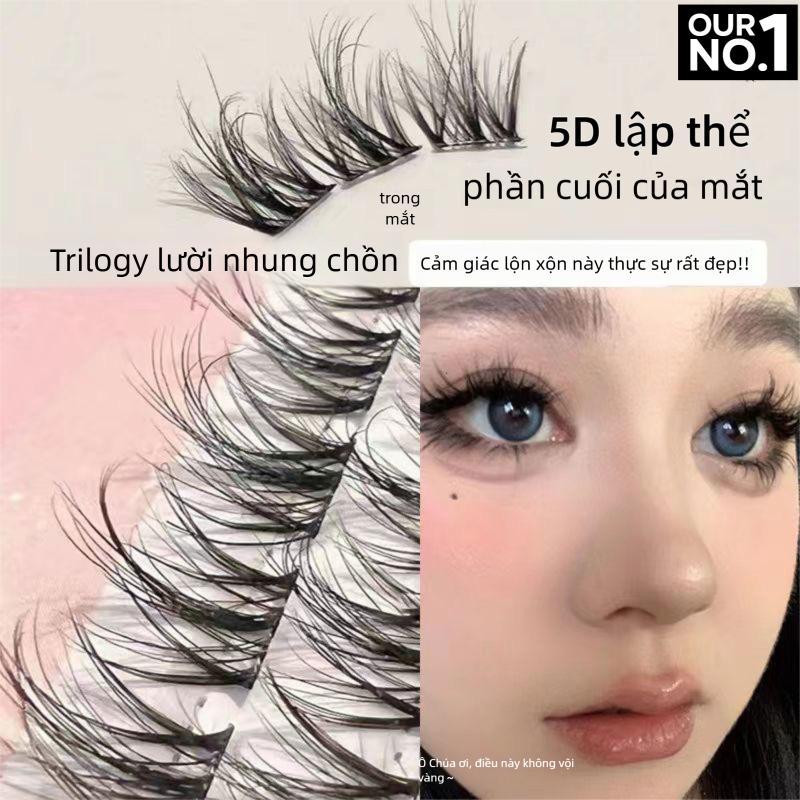 Lông Mi giả tự dính không cần dùng keo (Ảnh shop tự chụp ) - thế hệ mới có thể tái sử dụng nhiều lần ( bao bì mới cải tiến hơn)