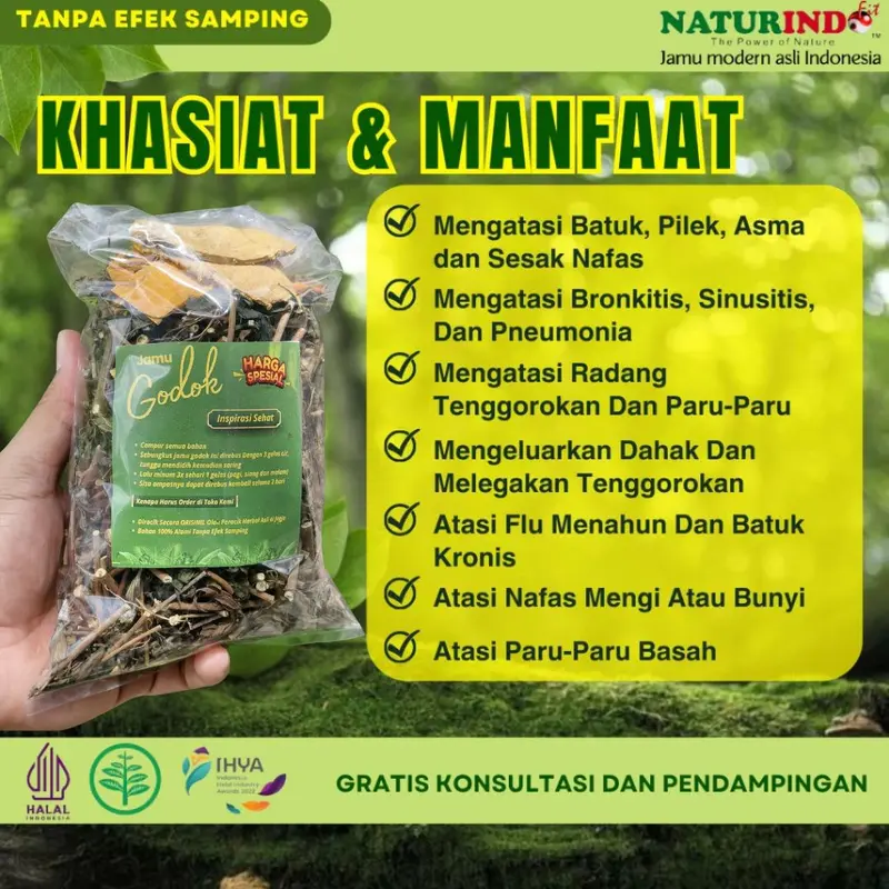 jamu godok  Gurah Paru-Paru Sesak Nafas Batuk Berdahak Berlendir Bronkitis TBC Herbal Ampuh 1