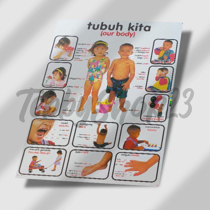 Paket 10 lembar poster edukasi anak Soft Cover 5