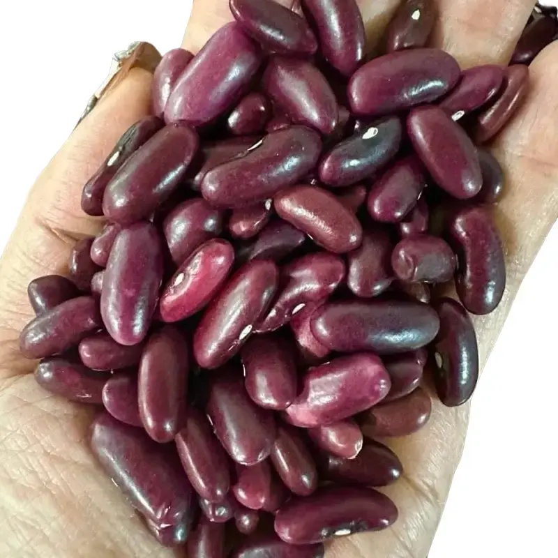 1kg Đậu Đỏ Tủa Chùa ĐIỆN Biên Hạt To-Bùi -Ngậy -Thơm