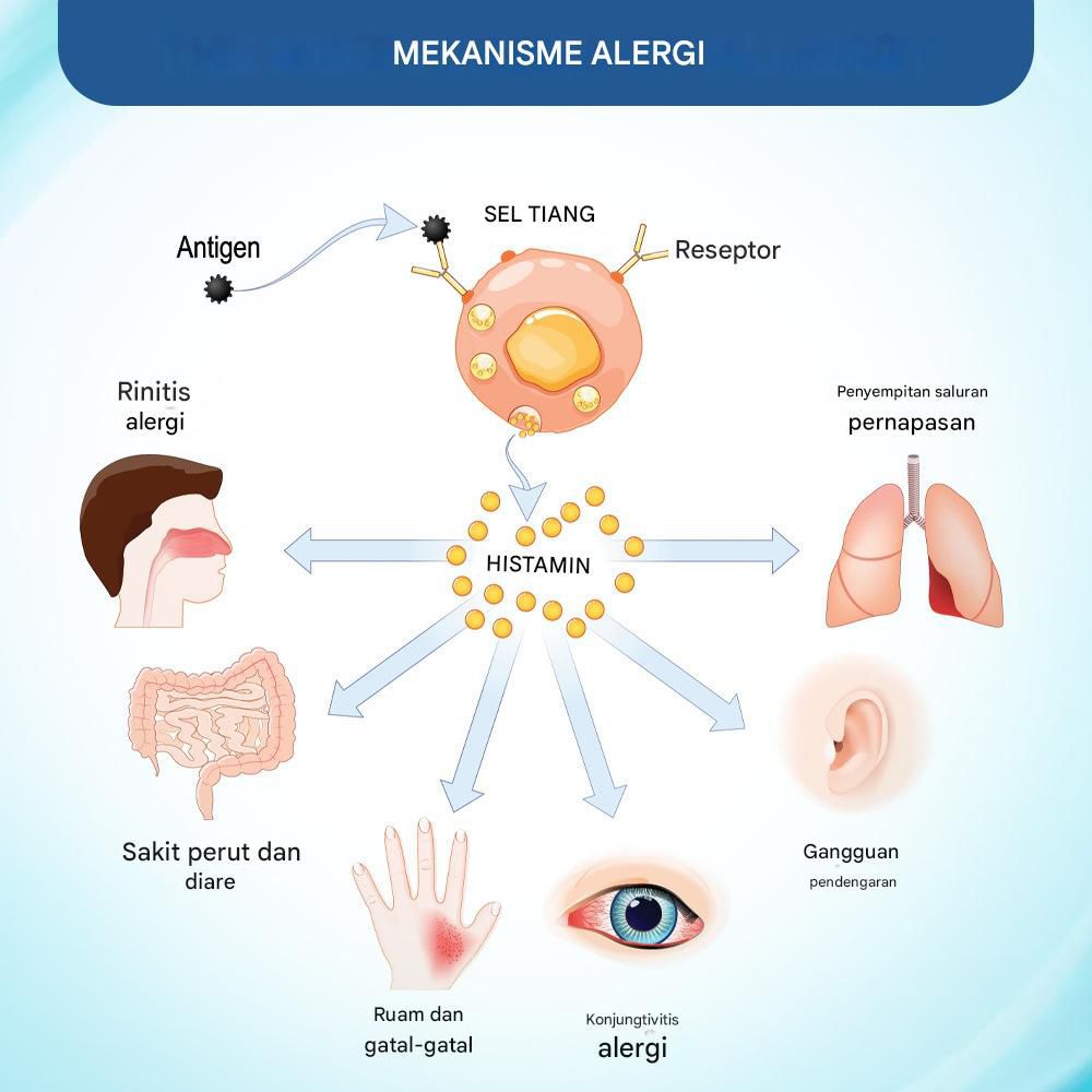 Sumifun Allergy Care Cream - Menghilangkan Kulit Gatal dan Alergi dengan Formula Lembut dan Efektif