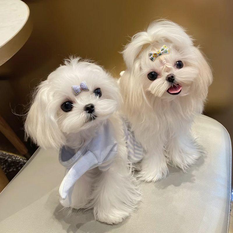 Pet Dog Puppy Cat accessories cute hair clip / hair pin / fur clip Fruit Flower design 6