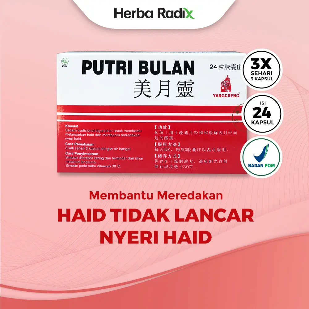 Putri Bulan (Mei Yue Ling) - Obat Herbal untuk membantu meredakan Haid Tidak Lancar dan Nyeri Haid | Safflower by Herba Radix