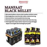 Gambar Grosir Phoenix Black Millet 1 Pack (6 Pcs) dari Phoenix Petfood Indonesia Kab. Bogor 1 Tokopedia