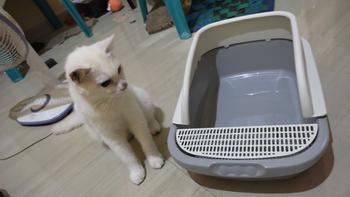 Product Review of ANGOLA Cat Litter Box M06 Tempat Bak Pasir Kucing Tempat Pup Toilet Kucing from m**a c**🍬 1