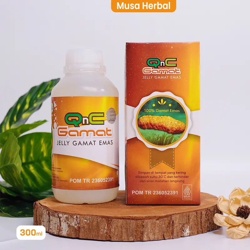 QNC Jelly gamat emas herbal multikhasiat dari ekstrak teripang emas 5