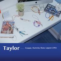 Gambar Wallts Taylor Tali Gantungan Lanyard Universal Handmade Handphone - Gummie dari Wallts Kota Bandung 4 Tokopedia