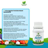Gambar Pestisida Nabati Organik MANGGROW 100 ml – Pembasmi Hama Alami untuk Semua Tanaman dari Manggrow Official Shop Kab. Sukoharjo 2 Tokopedia