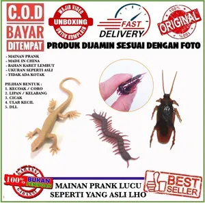 IMPOR MAINAN KECOAK KACOAK CORO PRANK COCKROACH CICAK LIPAN ULAR