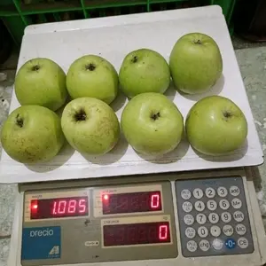 APEL MALANG JENIS MANALAGI SEKILO ISO 9-10 BUAH RASA MANIS Segar dan Berkualitas Tinggi untuk Konsumsi Sehari-hari