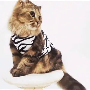 baju kucing untuk umur 1 bulan