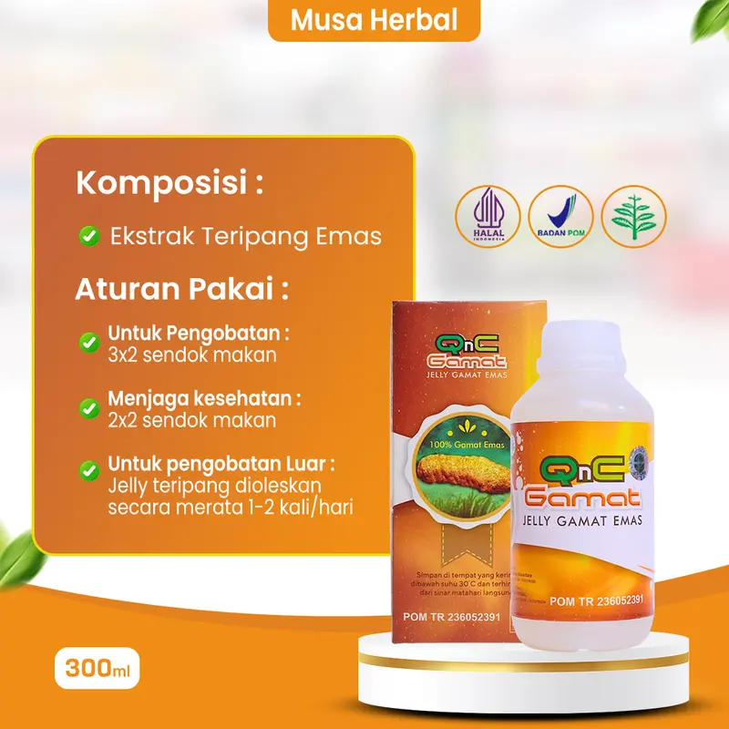 QNC Jelly gamat emas herbal multikhasiat dari ekstrak teripang emas 2
