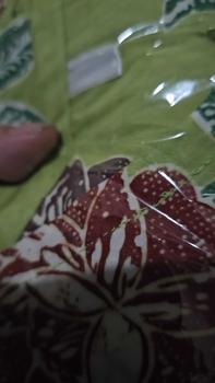 Product Review of gamis encim pita  LD 110-120 | busui friendly | gamis batik cap colet premium rayon candi mekar Muslim Dress Wanita from H**e 0