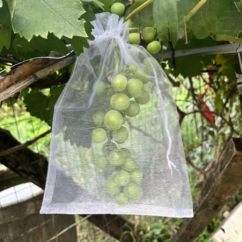 Túi Trái Cây, Thông Dụng, Chống Chim, Chống Côn Trùng, Thích Hợp Cho Dưa Và Trái Cây, Đặc Biệt Cho Húng Quế, Quả Mọng, Nho, Đào, Dâu Tây, Có Lưới, Túi Mắt 0