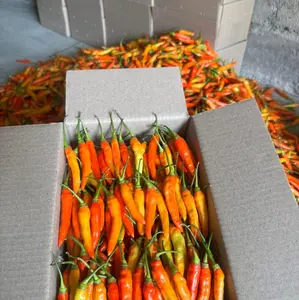 Cabai rawit merah  (UNTUK PULAU JAWA SAJA)