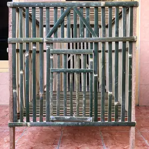 Pree Order Box ayam / kandang ayam uk 70 cm