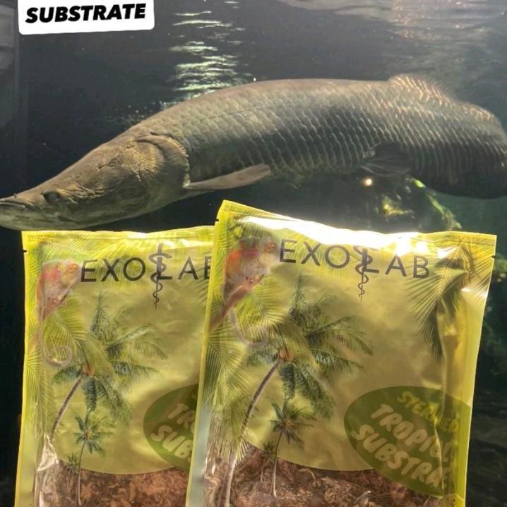 premium spaghnum moss by exolab 50gr( alas landang reptil dan katak) 0