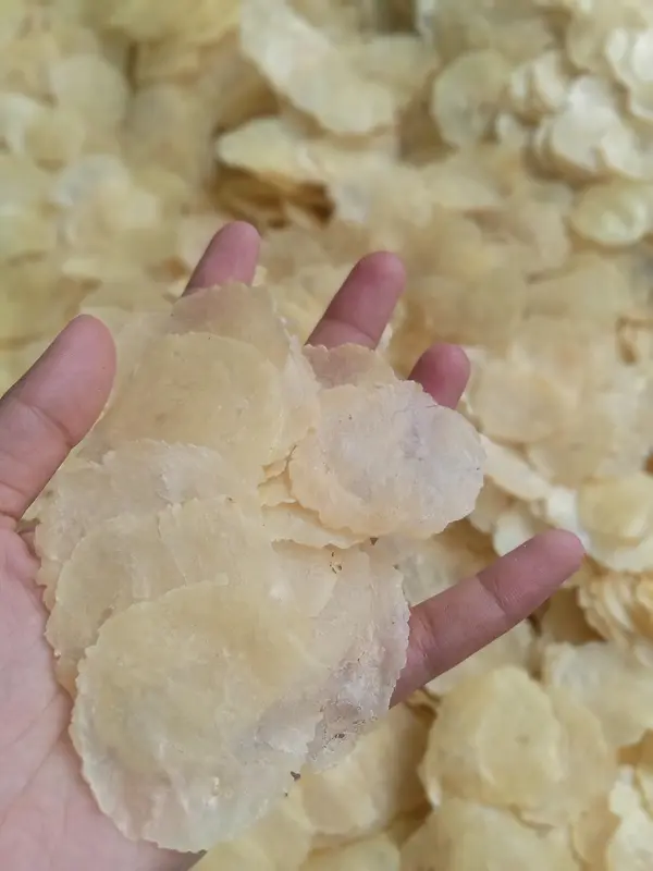 EMPING MELINJO 1 KG KERING PASAR ASLI KEBUMEN - Makanan, Snack Food, Cemilan, Keripik  Goreng 0