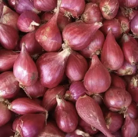 Bawang merah sedang kering 1kg bumbu masak 3