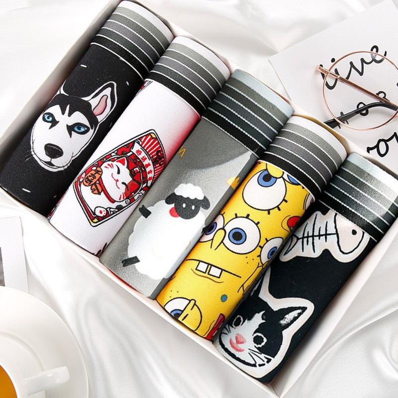 ComBo 5 quần lót nam hoạt hình boxer cute dáng hàn chất vải thun mát mềm mịn thoáng khí PM27A Quần Boxer Sịp Menswear