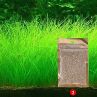 Gambar TaffHOME Bibit Rumput Air Dekorasi Aquarium Landscape Ornament 10g - H0027 - Big Fescue dari Taffware Official Store Kota Administrasi Jakarta Barat 2 Tokopedia
