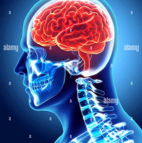 Herbal stroke ampuh terbuat dari bahan pilihan 4