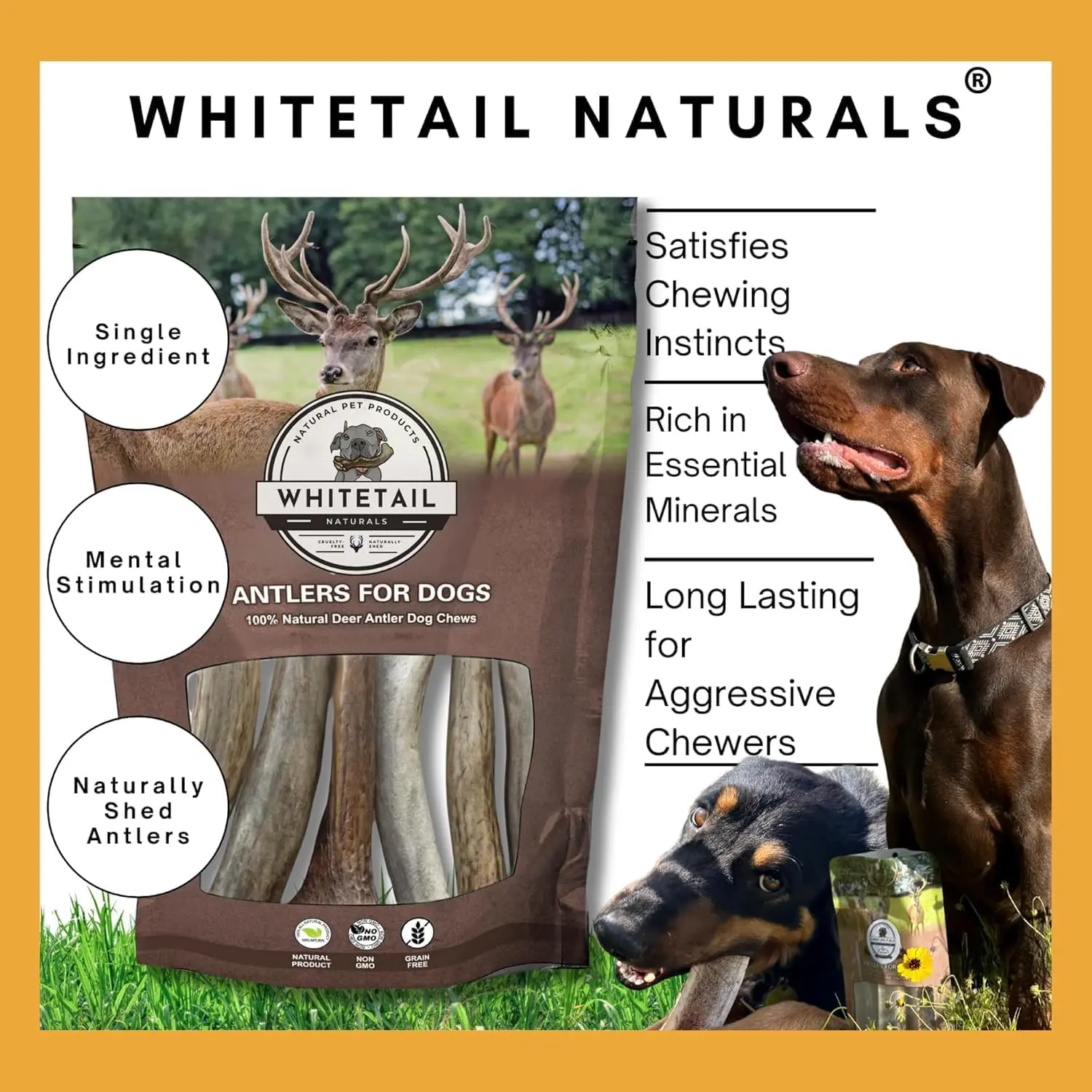 WhiteTail Naturals - Deer Antlers for Large Dogs