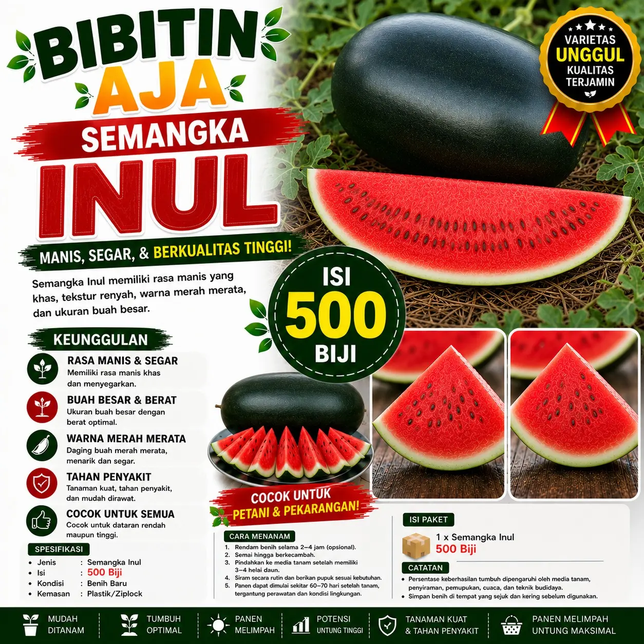 500 Biji Bibit Semangka Inul | Benih Semangka Unggul | Daging Merah, Manis & Daya Tumbuh Tinggi